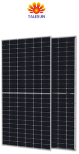 Talesun product image